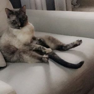 Meet your Posher, Heidi